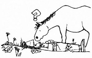 
Catching a horse could be a simple matter of laying down in the middle of the pasture and waiting for the animal to come investigate you.
